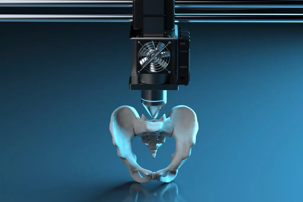 Medical human body model 3 printing