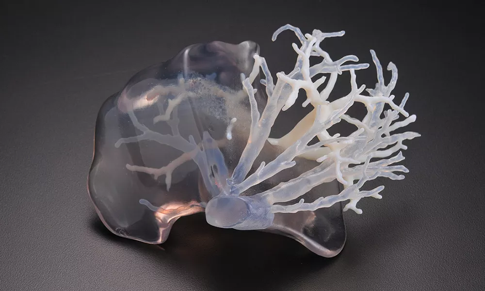 3D polyjet 3D printing