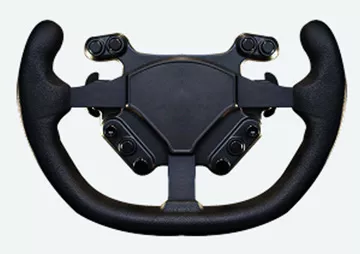 Gas Assist Molding